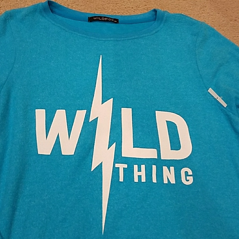 New Wildfox Wild Thing top vintage